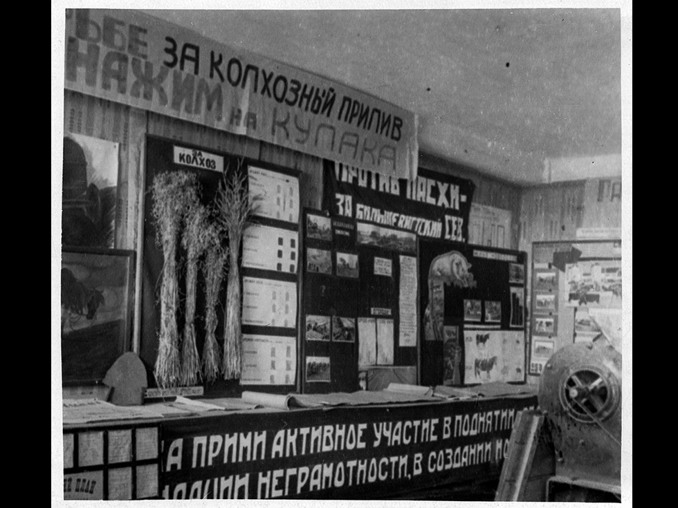 Выставка посевной кампании. Вредители, организация труда, новые культуры. 1931 г. Фото М.С. Заблоцкого