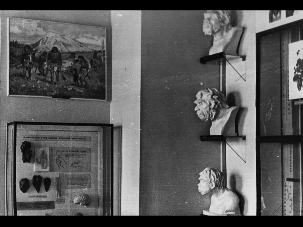 Раздел «Происхождение человека» в экспозиции Дворца Олега. 1964 г.